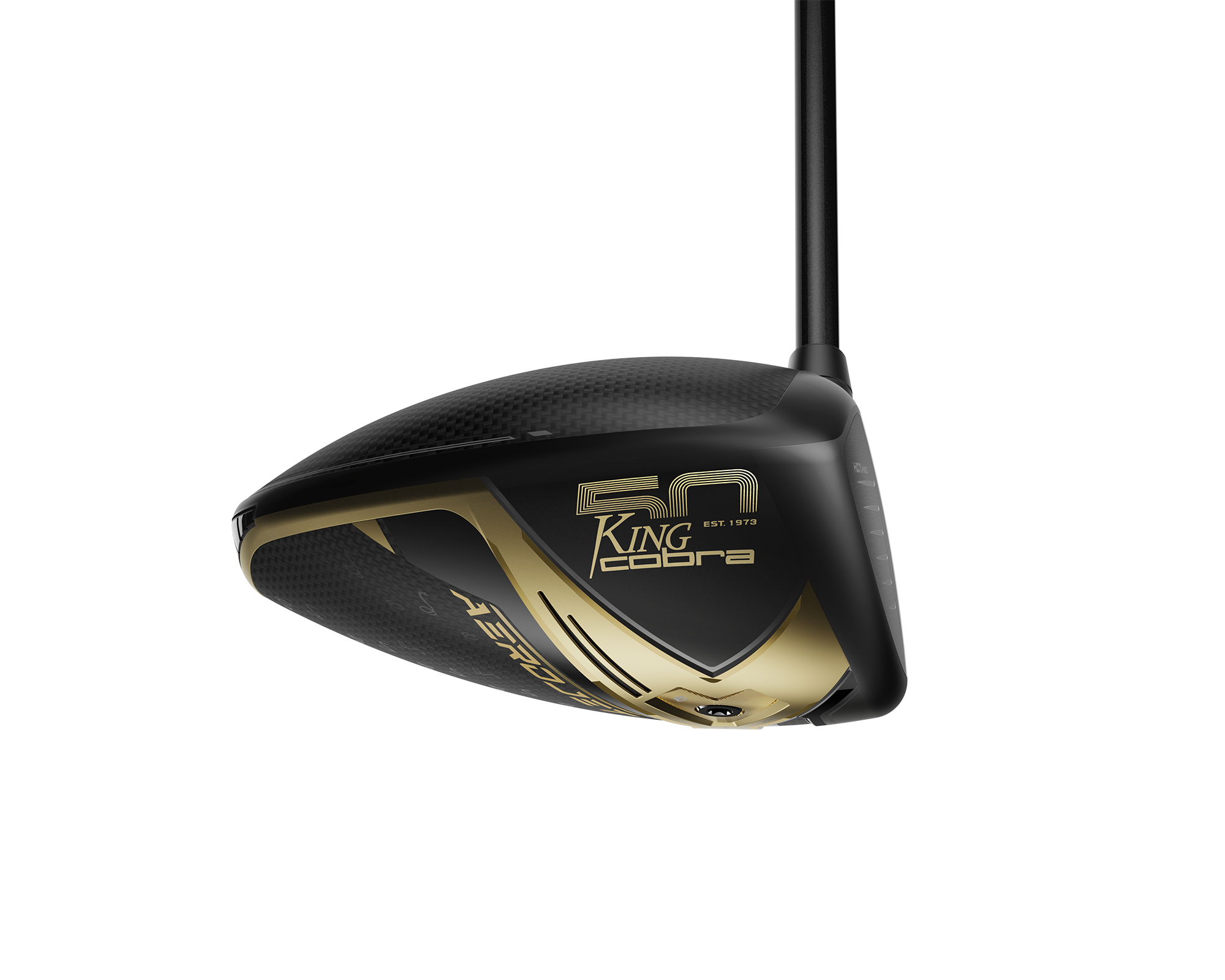 Aerojet LS 50th Anniversary